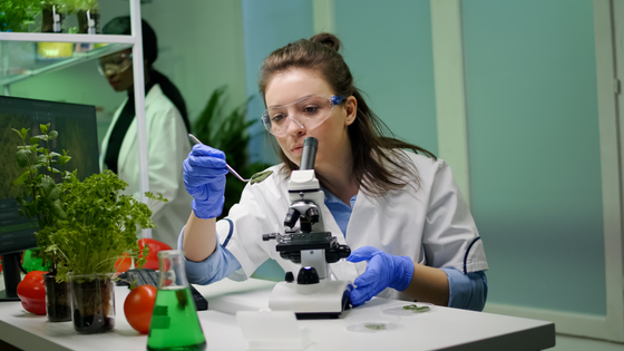 biologist-splecialist-taking-with-tweezers-green-leaf-sample.jpg