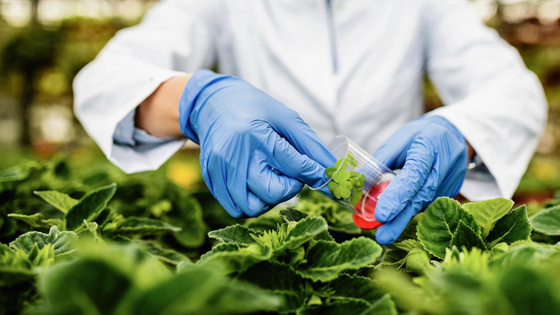 closeup-biologist-taking-sample-plant-while-working-plant-nursery_637285-1568.jpg